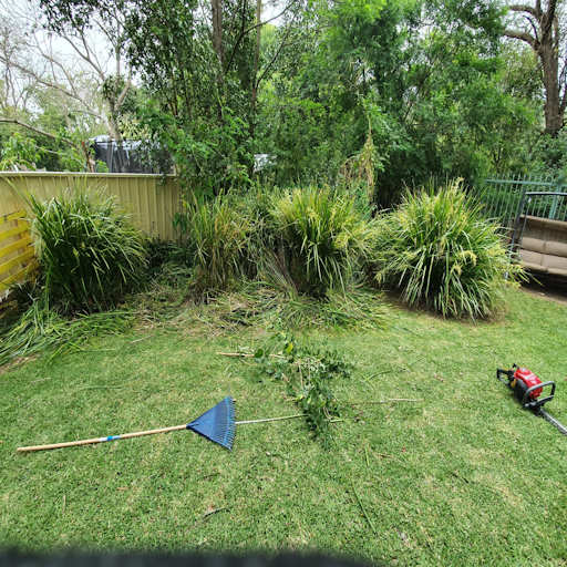 Yard clean-up